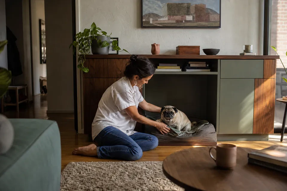 A woman settling a Pug within a companion rest space integrated into living-room storage